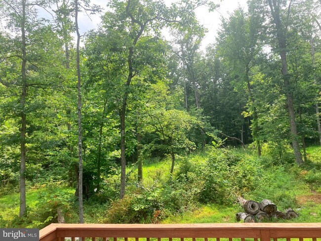 Building Photo - 101 Brier Rabbit Ct