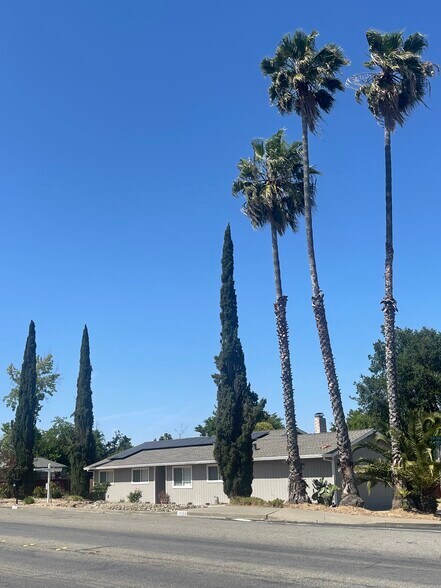 Beautiful Trees on Property - 1650 Farm Bureau Rd