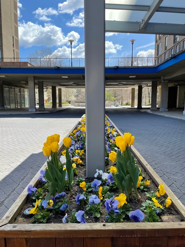 Building Photo - 77 Pond Ave