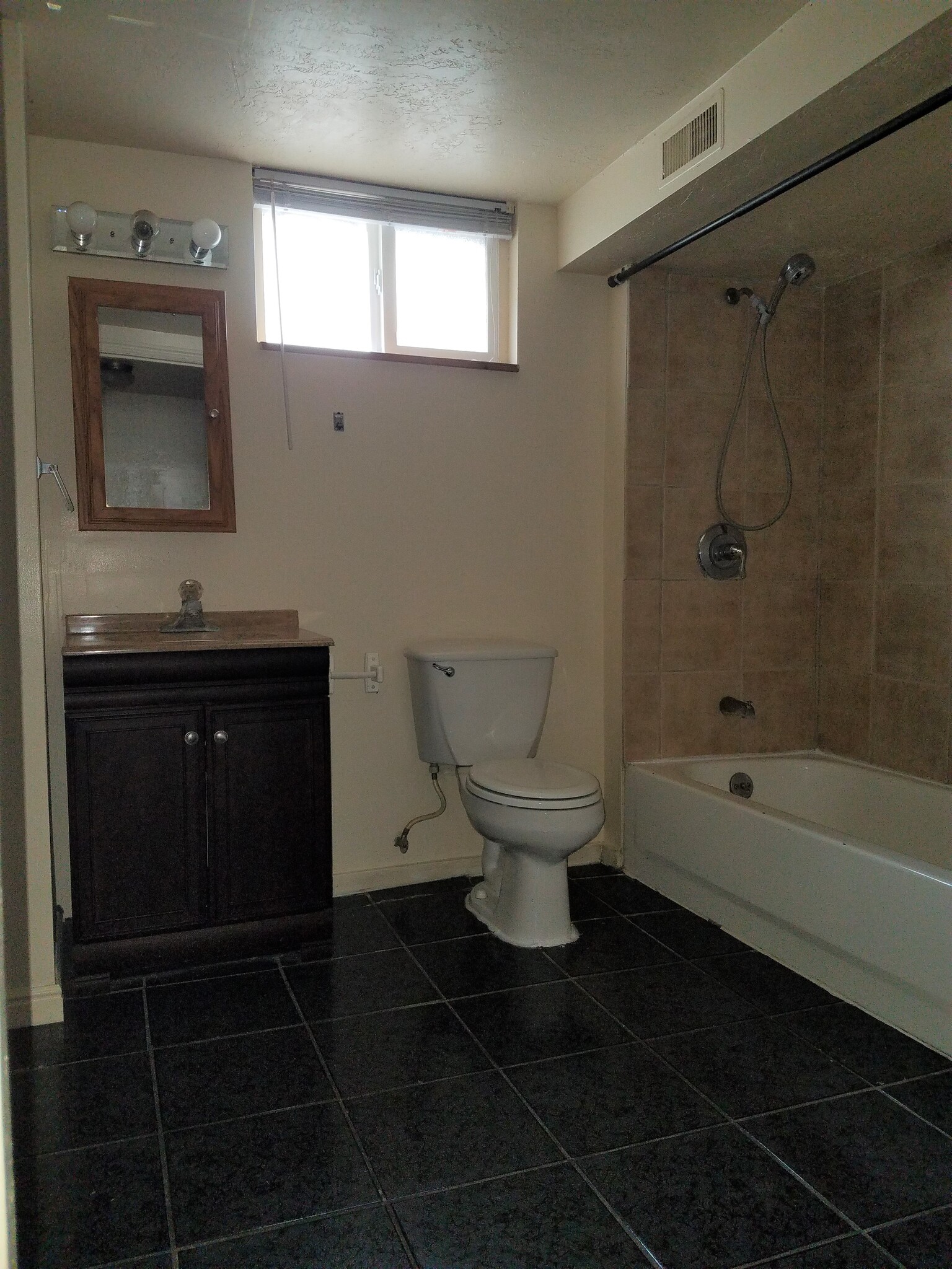 Downstairs bathroom - 332 E Utopia Ave