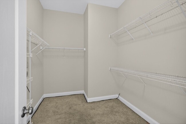 Building Photo - 10 Moonlight Trail