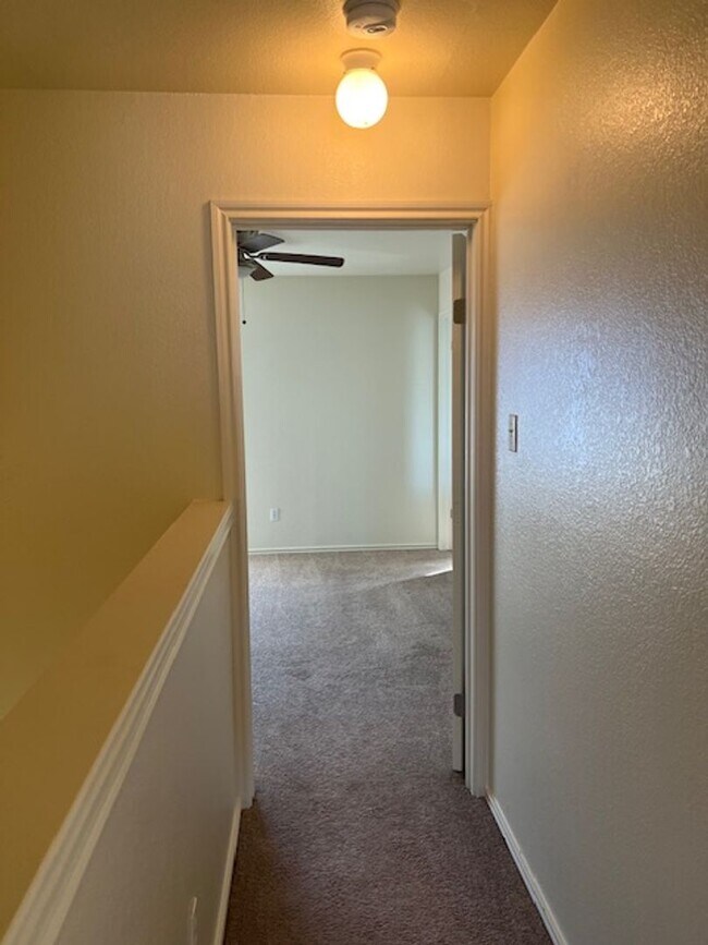 Building Photo - 929