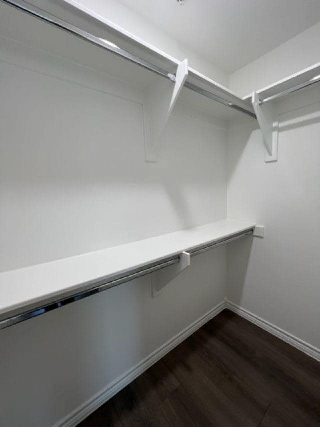 Building Photo - 9907 Borna Dr