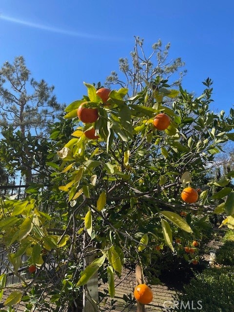 Building Photo - 401 Puddingstone Dr