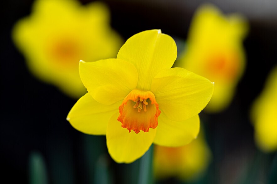 Building Photo - 2744 SW Sherwood Dr