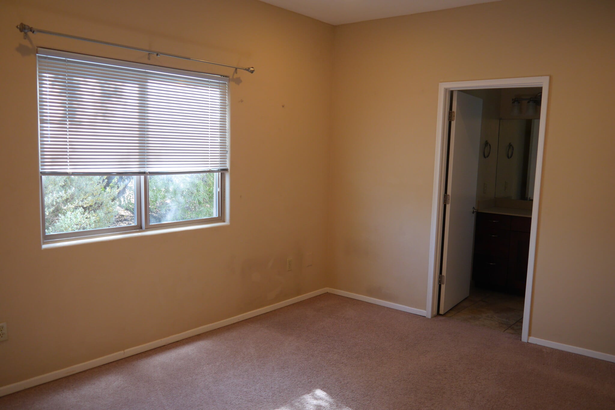 Building Photo - 6510 N Camino Arturo