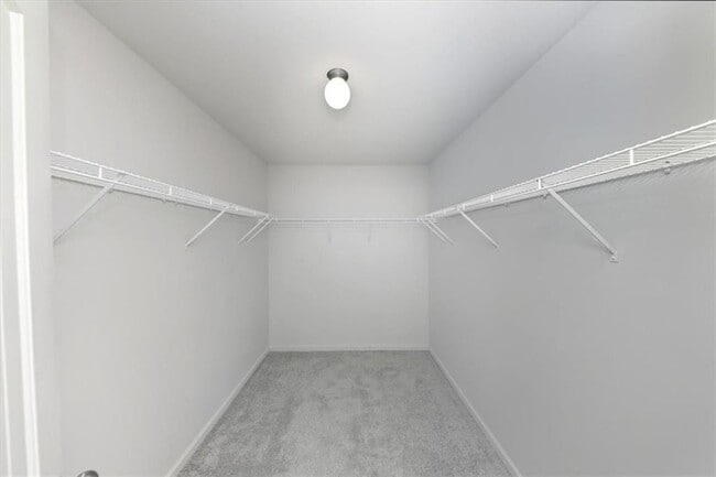 Building Photo - 541 Tulip Ln