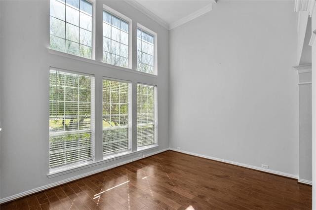 Building Photo - 8036 Ocean Dr