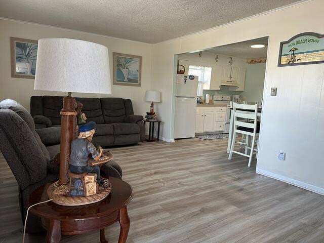 Living Room - 315 Sunset Dr