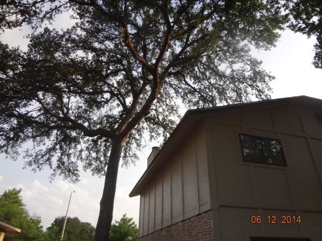 Building Photo - 10700 Hard Rock Rd