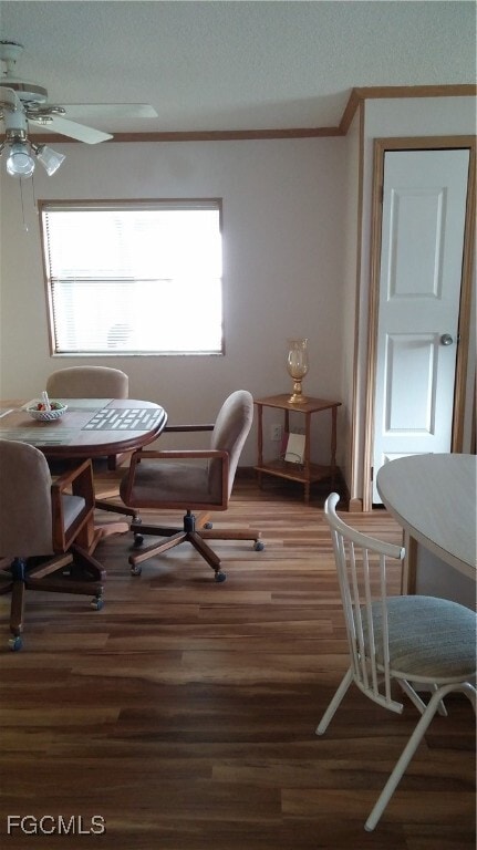 Building Photo - 26284 Raleigh Dr