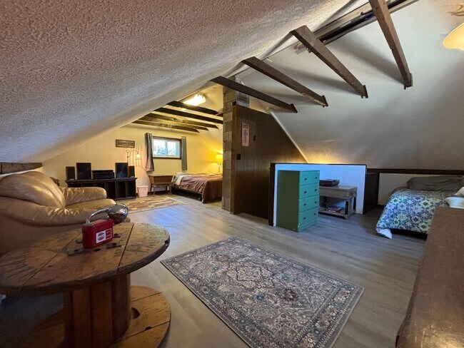 Building Photo - 20 Minutes to Breckenridge! Walk to everything Alma! Wood burning fireplace and fully furnished!