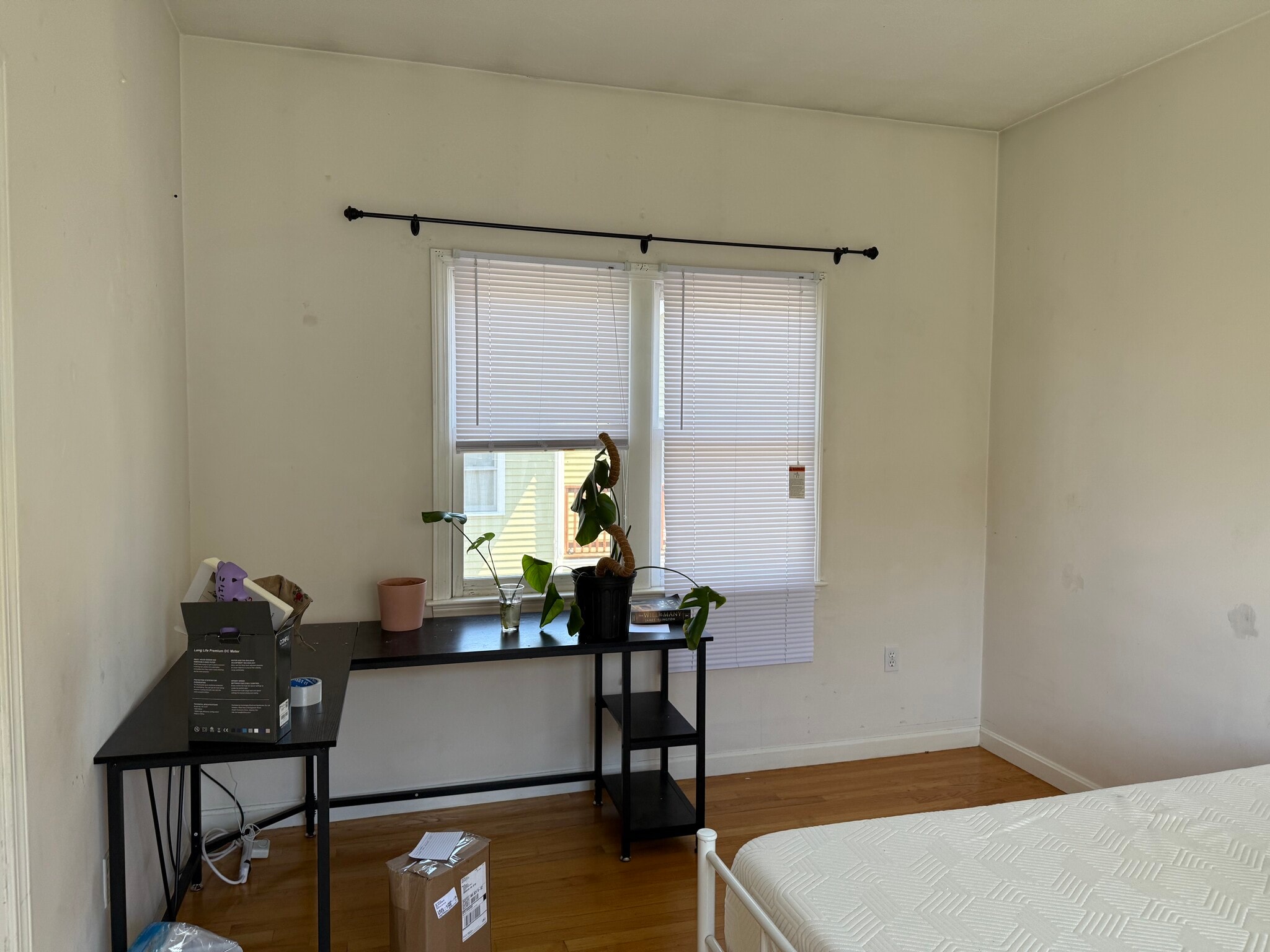Building Photo - 254 Allston St