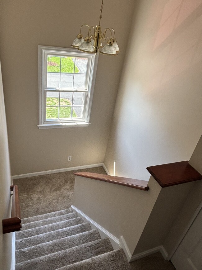 Building Photo - 203 Apple Blossom Ln