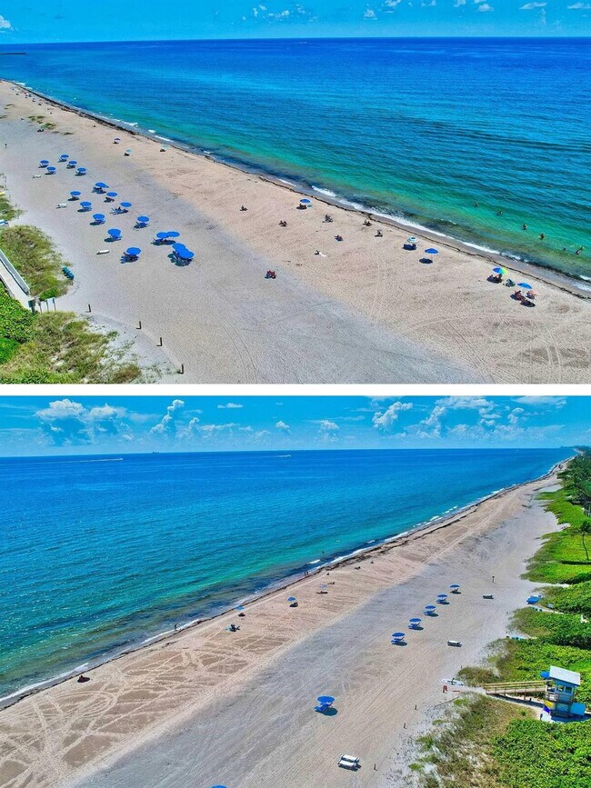 Building Photo - 6520 N Ocean Blvd