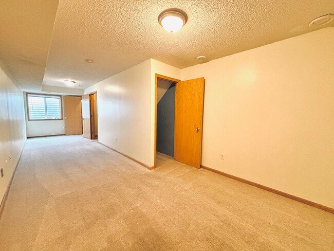 Building Photo - Spacious 3bed Townhome in Coon Rapids.  FI...