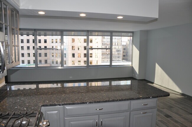 Building Photo - 1000 N Lake Shore Dr