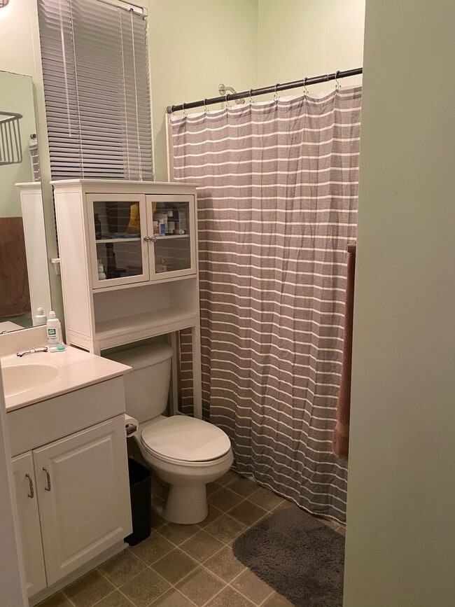 Bathroom 2 - 1043 Sycamore Green Pl