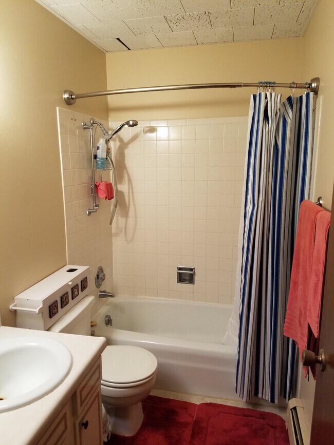 Bath - 1631 Olive Dr