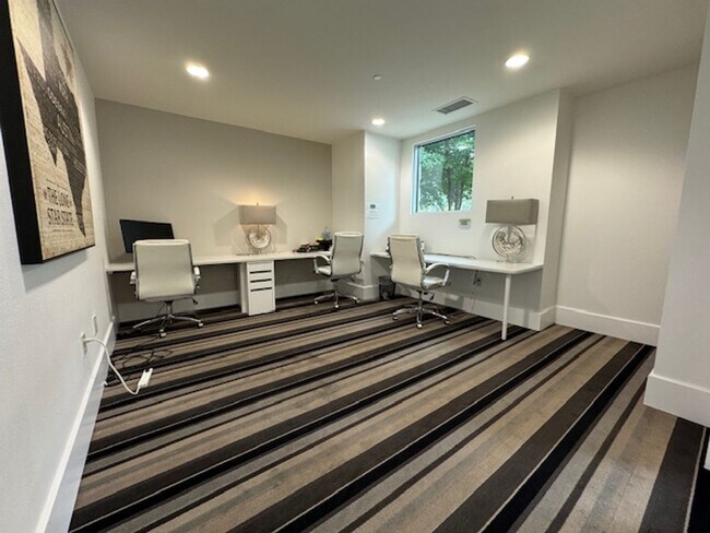 Building Photo - Luxurious Penthouse Studio condo at Zilker