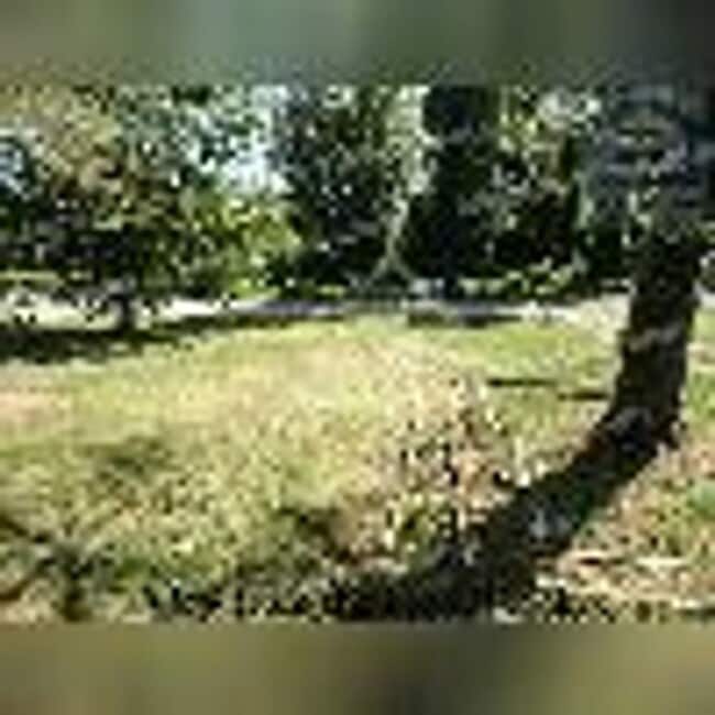 Building Photo - 758 Forest Cir