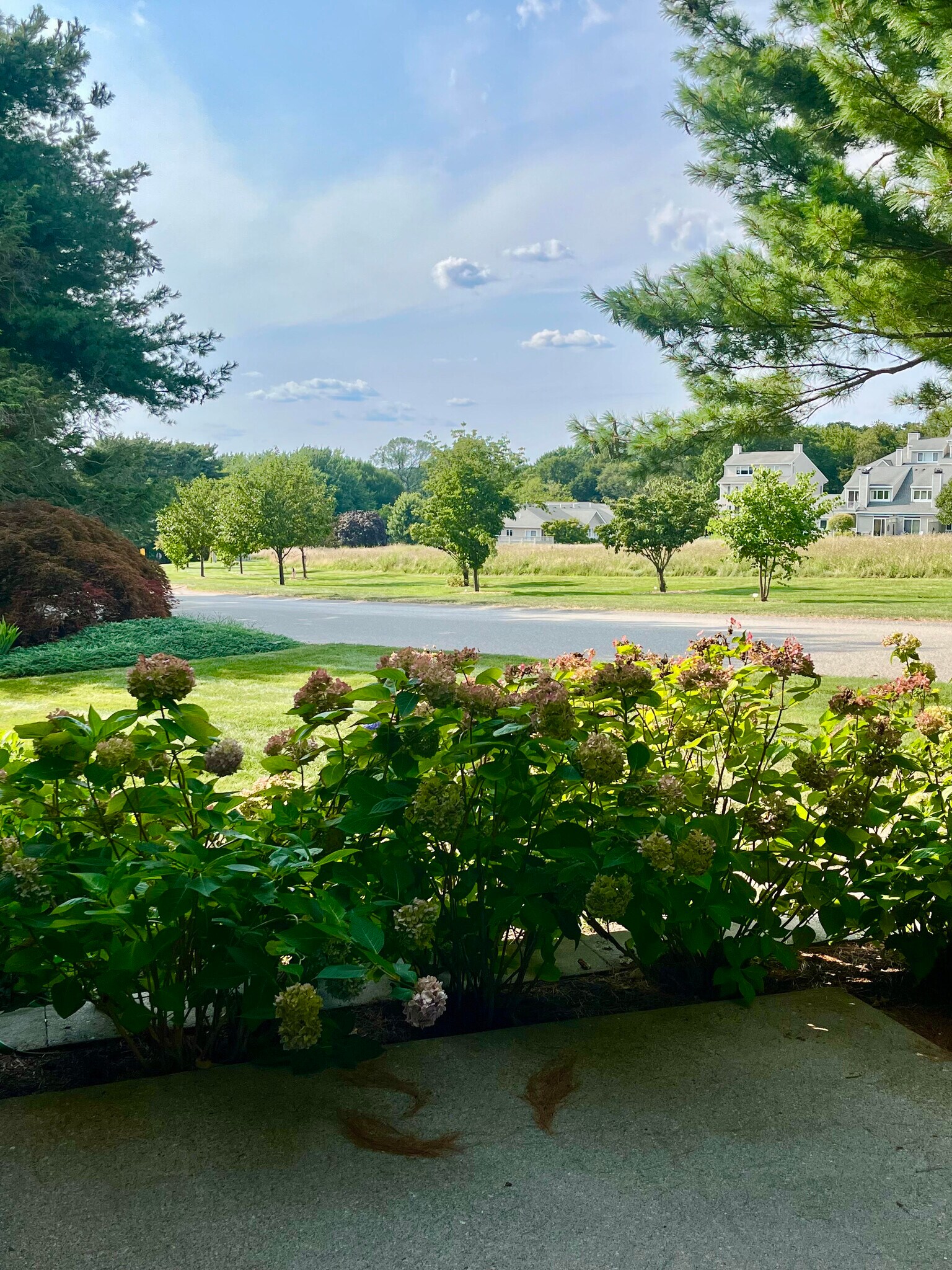 Patio overlooks wild meadow, and has sunset views - 77 Windward Ln
