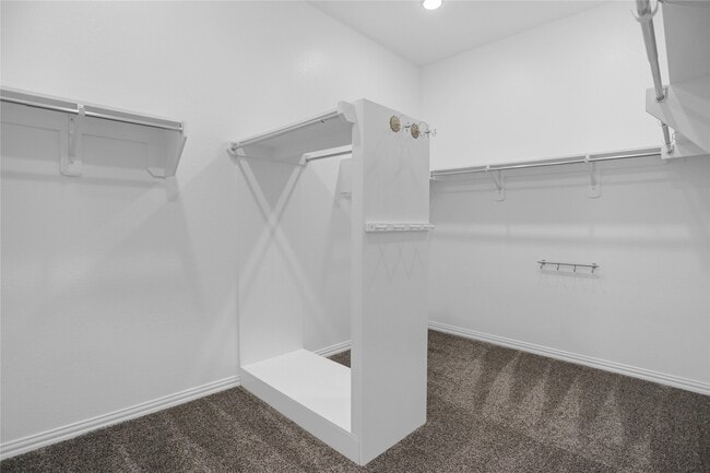 Building Photo - 2718 Ripe Amber Cup Ct