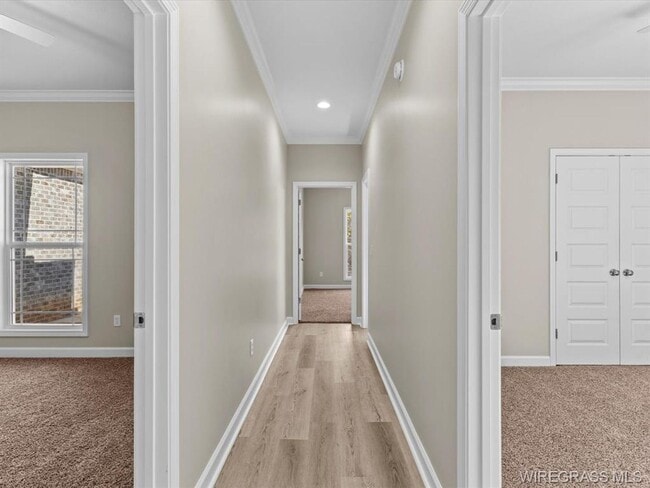 Building Photo - Available Now!