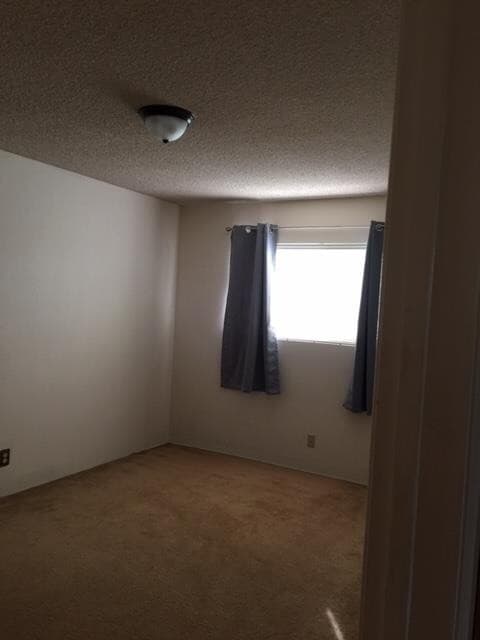 Building Photo - 634 Couper Dr