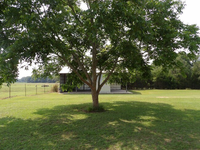 Building Photo - Coffee Springs Road, Coffee Springs, AL