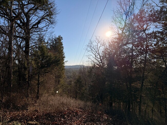 Building Photo - Welcome to this charming 4-bedroom, 2-bathroom home located in the scenic outskirts of Dover, AR.