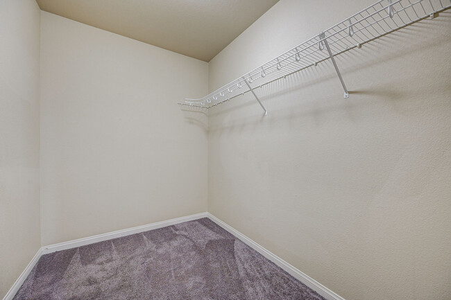 Building Photo - 706 Eros Ct