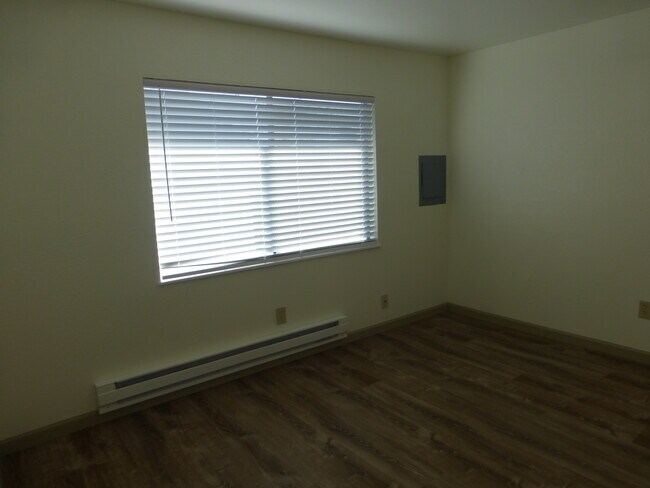 Large window in spacious bedroom, new blinds throughout home - 215 8th St SE