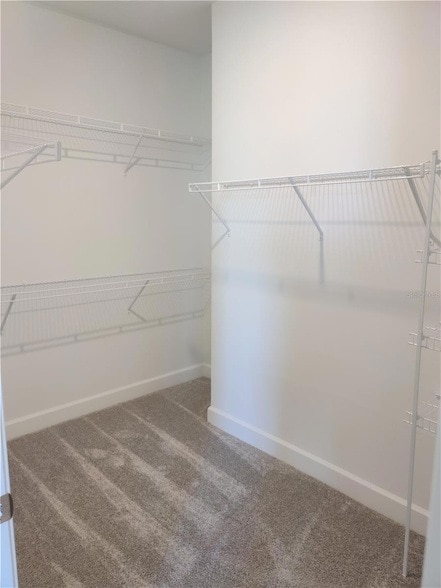 Building Photo - 14558 Mossy Pine Ct