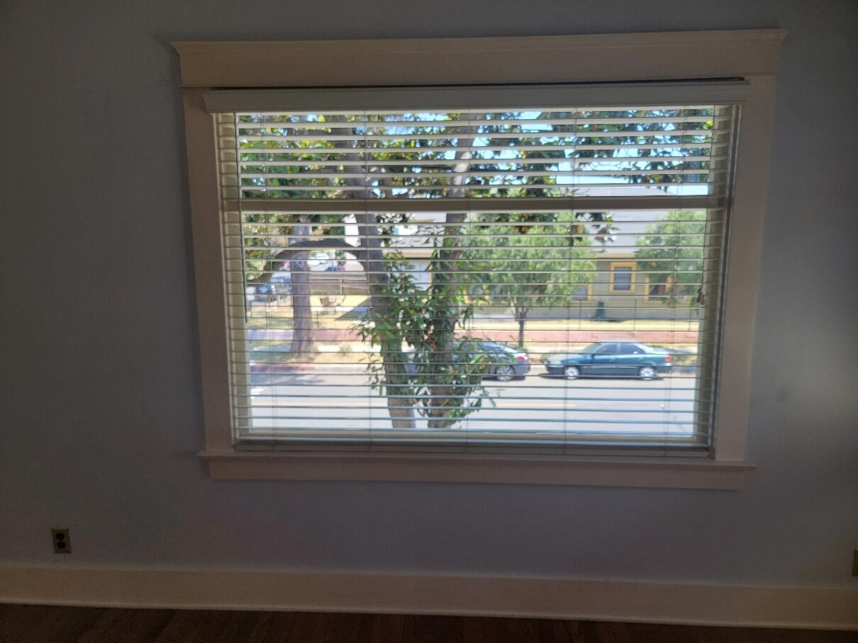 Picture window - 642 W 8th St