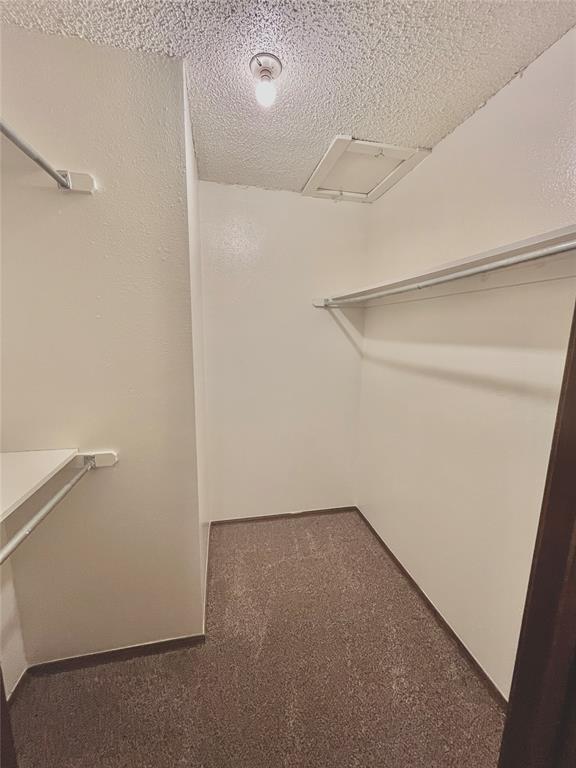 Building Photo - 312 Falcon Ct