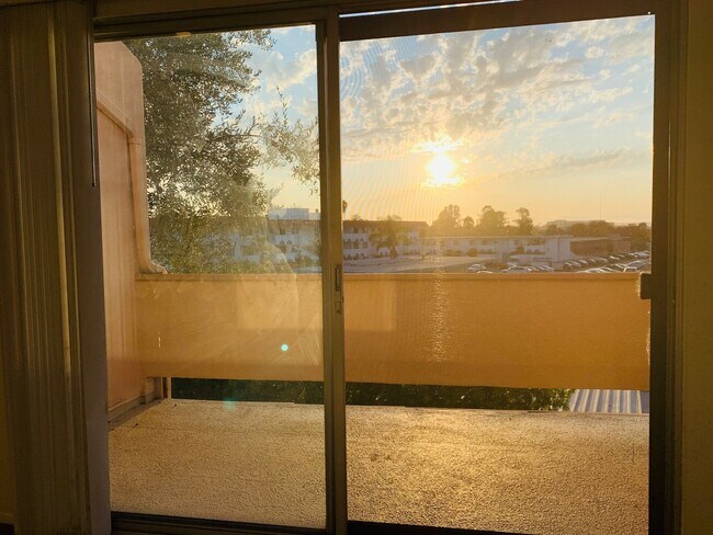 Building Photo - Resort-Style Complex Studio