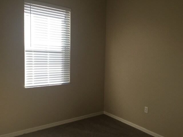 Building Photo - 3709 Cinnamon Fern Loop