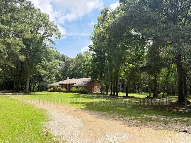 Building Photo - 11275 Otto Odom Cir