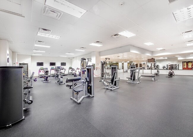 Building Photo - Clean and Bright Studio Apartment Downtown at The Montage- Utilities included!