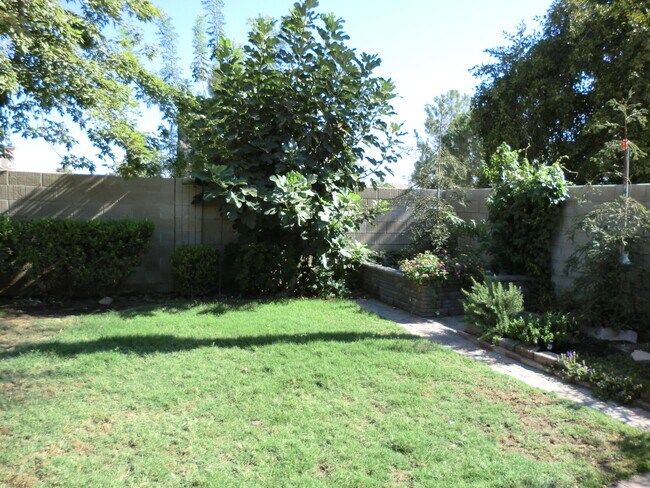 Building Photo - Silver Creek area. 4BD 2 BA. CLEAN,  NEWLY PAINTED