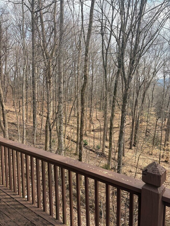 Building Photo - 2bed 2.5bath Condo Great Johnson City Location Close to ETSU