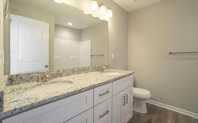 Building Photo - New construction! 4 bedroom home in Blue S...