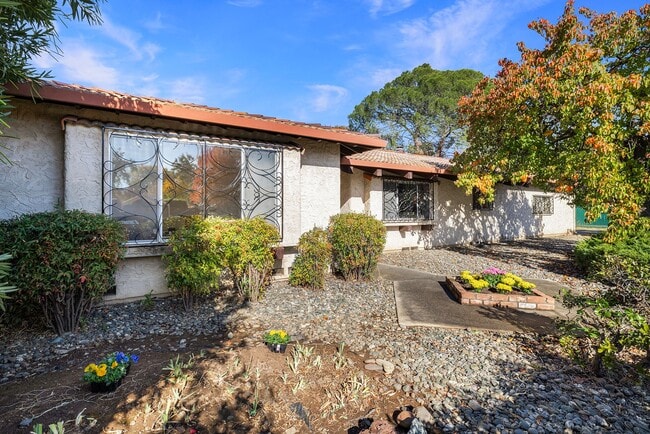 Building Photo - 1096 Corino Real Ct