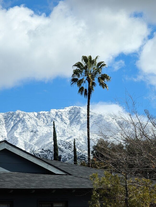 Building Photo - Spacious three bedroom one and half bath house in Sunland!