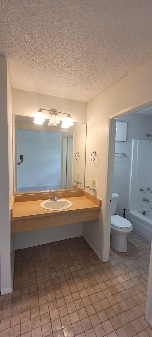 Building Photo - Charming Mountain Studio Apartment
