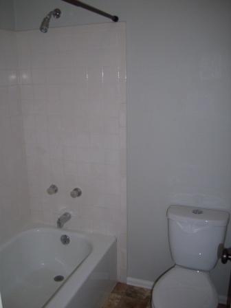 Building Photo - Wonderful Highlands Ranch Home with Extra Large Back Yard.