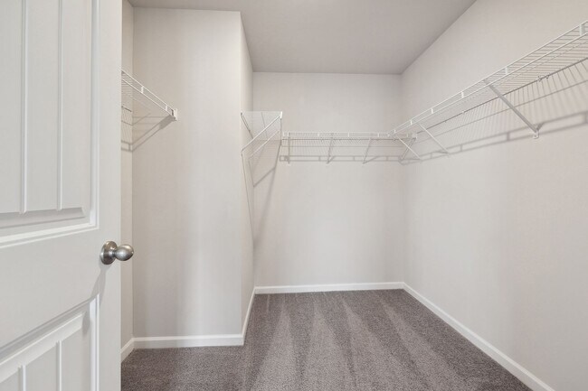 Building Photo - Enclave at Dawson Forest