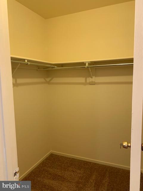 Building Photo - 7701 Lexton Pl