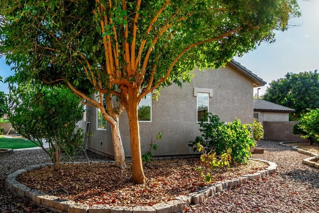 Building Photo - 4326 E Cloudburst Ct